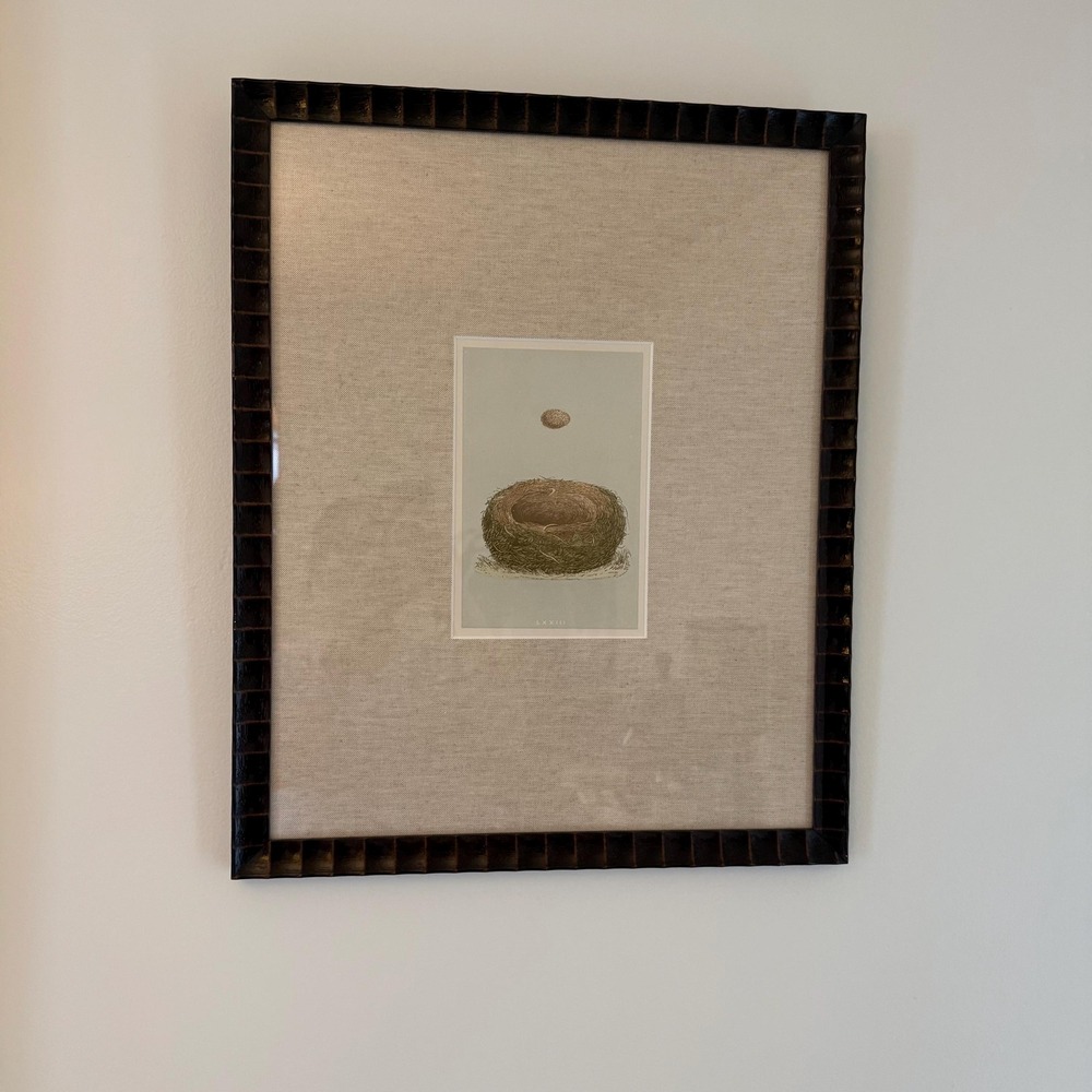 F. O. Morris 19th Century Bird Nest & Egg Hand-Colored Framed Prints | Set of 2